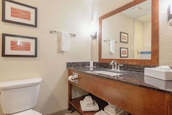 Suite, 1 King Bed with Sofa bed, Non Smoking