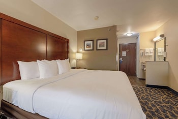 Standard Room, 1 King Bed, Non Smoking