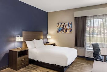 Suite, 1 Queen Bed, Accessible, Non Smoking (Efficiency, Roll-In Shower)