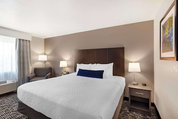 Standard Room, 1 King Bed, Non Smoking, Microwave