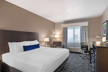 Standard Room, 1 King Bed, Accessible, Refrigerator & Microwave