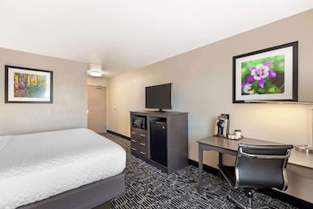 Standard Room, 1 King Bed, Non Smoking, Microwave