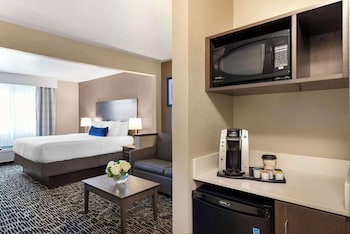 Suite, 1 King Bed, Non Smoking, Refrigerator & Microwave (with Sofabed)