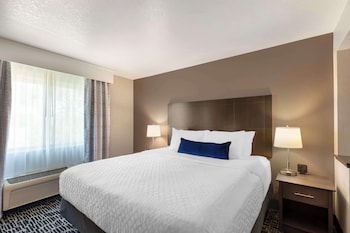 Suite, 1 King Bed, Non Smoking, Refrigerator & Microwave (with Sofabed)