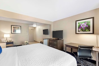 Suite, 1 King Bed, Non Smoking, Refrigerator & Microwave (with Sofabed)