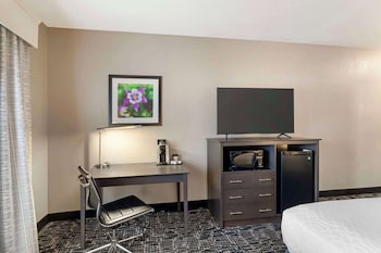 Standard Room, 1 King Bed, Accessible, Refrigerator & Microwave