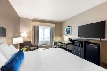 Standard Room, 1 King Bed, Accessible, Refrigerator & Microwave