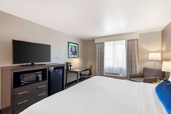 Standard Room, 1 King Bed, Non Smoking, Microwave