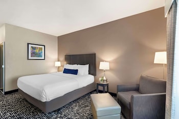 Standard Room, 1 King Bed, Accessible, Refrigerator & Microwave