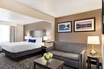 Suite, 1 King Bed, Non Smoking, Refrigerator & Microwave (with Sofabed)