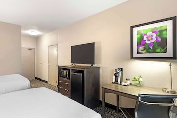 Standard Room, 2 Queen Beds, Accessible, Refrigerator & Microwave
