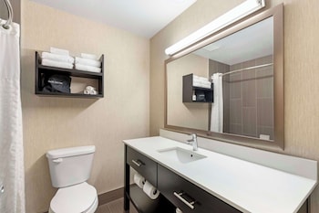 Suite, 1 King Bed, Non Smoking, Refrigerator & Microwave (with Sofabed)