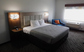 Room, 1 King Bed, Non Smoking