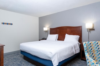 Room, 1 King Bed, Microwave