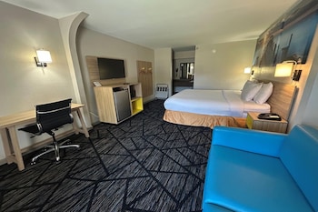 Room, 1 King Bed, Smoking (Pet-Friendly)