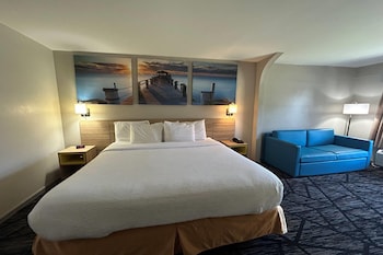 Room, 1 King Bed, Smoking (Pet-Friendly)
