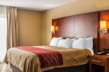 Studio Suite, 1 King Bed, Non Smoking