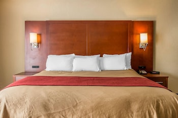 Studio Suite, 1 King Bed, Non Smoking