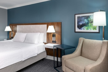Room, 1 King Bed, Accessible, Non Smoking (Roll In Shower)