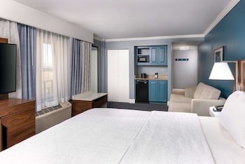 Standard Room, 1 King Bed with Sofa bed, Non Smoking, Refrigerator & Microwave