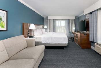 Standard Room, 1 King Bed with Sofa bed, Non Smoking, Refrigerator & Microwave