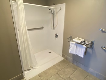 Deluxe Room, 1 King Bed, Accessible, Non Smoking (Roll-in Shower)
