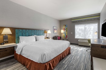 Room, 1 King Bed, Accessible (Roll-In Shower)