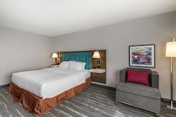 Room, 1 King Bed, Accessible, Bathtub