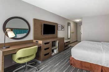 Room, 1 King Bed, Accessible (Roll-In Shower)