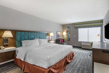Room, 1 King Bed, Accessible (Roll-In Shower)
