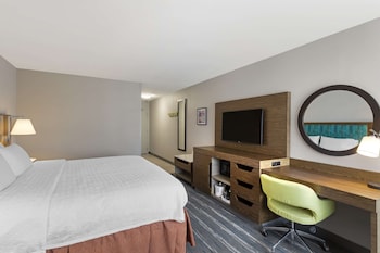 Room, 1 King Bed, Accessible, Bathtub