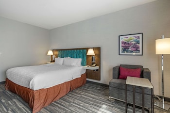 Room, 1 King Bed, Accessible (Roll-In Shower)