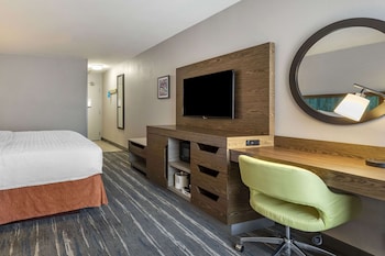 Room 1 King Bed, Sofabed