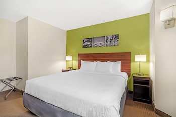 Room, 1 King Bed, Accessible with Roll-In Shower, Non Smoking