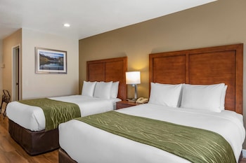 Suite, Multiple Beds, Accessible, Non Smoking