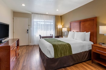Room, 1 Queen Bed, Accessible, Non Smoking (Efficiency)