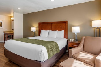 Standard Room, 1 King Bed, Non Smoking