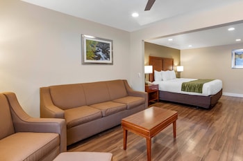 Suite, 1 King Bed with Sofa bed, Non Smoking