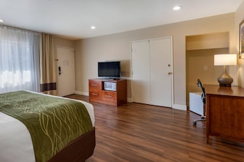 Standard Room, 1 King Bed, Non Smoking