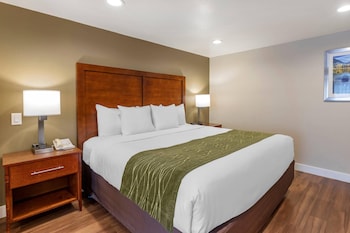 Suite, 1 King Bed with Sofa bed, Non Smoking