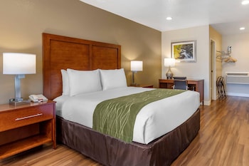 Standard Room, 1 Queen Bed, Non Smoking