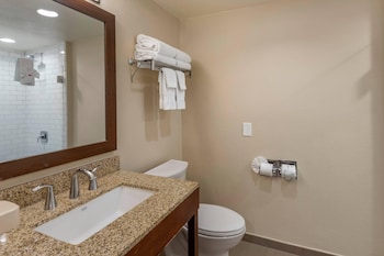 Suite, 1 King Bed with Sofa bed, Non Smoking