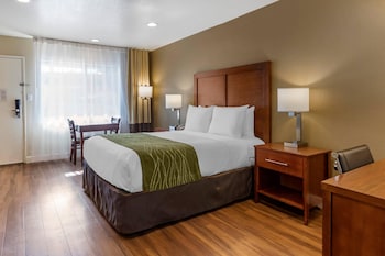 Standard Room, 1 Queen Bed, Non Smoking