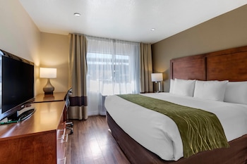 Suite, Multiple Beds, Accessible, Non Smoking