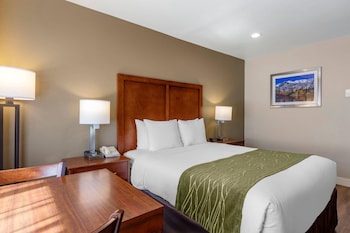 Room, 1 Queen Bed, Accessible, Non Smoking (Efficiency)