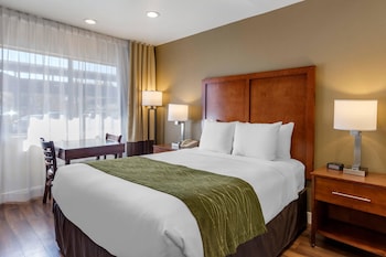 Room, 1 Queen Bed, Accessible, Non Smoking (Efficiency)