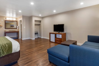 Suite, 1 King Bed with Sofa bed, Non Smoking