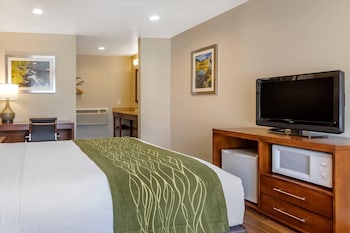 Standard Room, 1 Queen Bed, Non Smoking