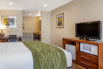 Standard Room, 1 Queen Bed, Non Smoking
