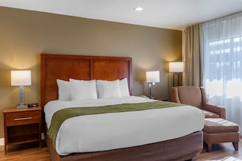Standard Room, 1 King Bed, Non Smoking